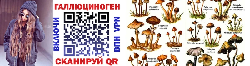 Купить  Моздок  Галлюциногенные грибы Cubensis 